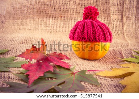 Small decorative pumpkin in a red knitted cap on the background of coarse grey burlap and fallen autumn leaves, pumpkin is in the right part of the picture