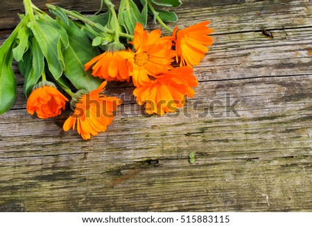 Calendula flowers on the wooden background
