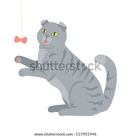 Scottish fold isolated on white background. Breed of domestic cat. Cartoon kitten playing with a toy. Grey color cat with stripes. British fluffy cat in flat style. Vector design illustration