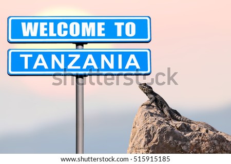 Road sign "Welcome to Tanzania" against  blur sunrise sky and lizard on a rock