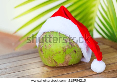Tropical picture of coconut in a Christmas red hat and palm leaves outdoors