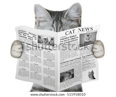 cat reading a newspaper
