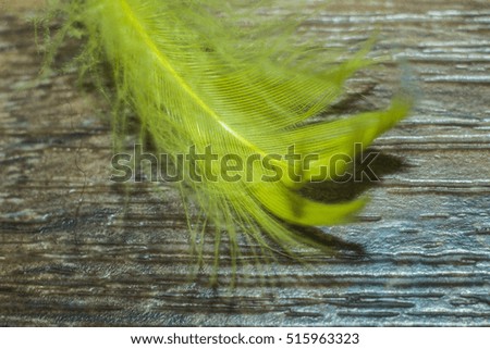 Christmas toys Christmas holiday miracle a cheerful mood beautiful fairy magical background feathers bumps texture