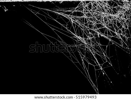 Triangle horror cobweb or spider web isolated on black background,horizontal photo Royalty-Free Stock Photo #515979493