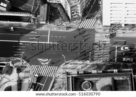 Top view of Tokyo city in the morning.Shoot in black and white shot.