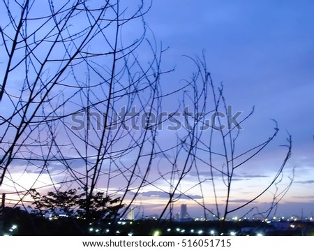 beautiful view , beautiful twilight and die tree , Thailand , Asia