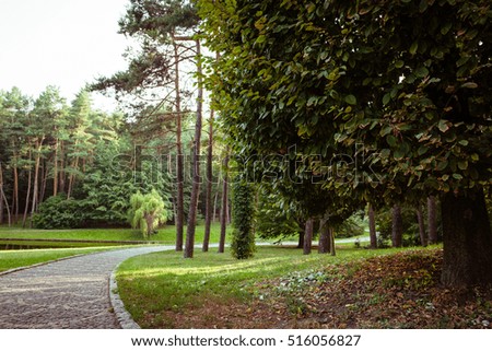 Alley, path in the park. Green tree foliage. Nature outdoor landscape with road, way, grass. Beautiful day in forest in summer or autumn. Bright background. Footpath in wood.