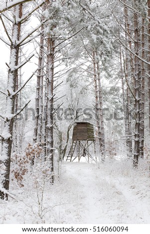 White winter landscape in the forest. 