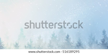                                 Winter background silhouettes of christmas trees with snow  and star nebula