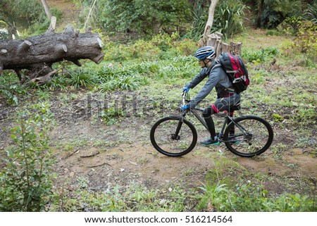 Male mountain biker riding bicycle in the forest on a sunny day