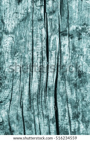 Old Weathered Rotten Cracked Knotted Wood Rustic Coarse Monochrome Cyan Grunge Texture