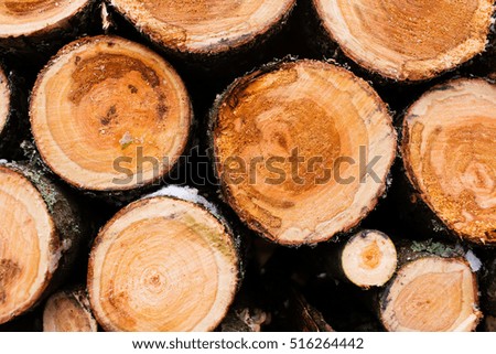 Wood texture wood fuel