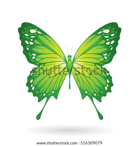 Vector Illustration of a Colorful Butterfly isolated on a white background
