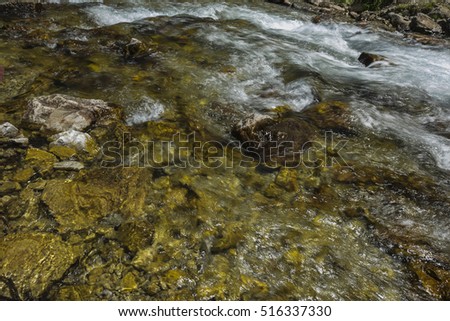 Clear and rapid mountain river in the summer forest