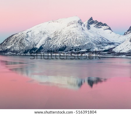 View of the beautiful fjord on Senja island with magical pink light at sunset, Troms county - Norway