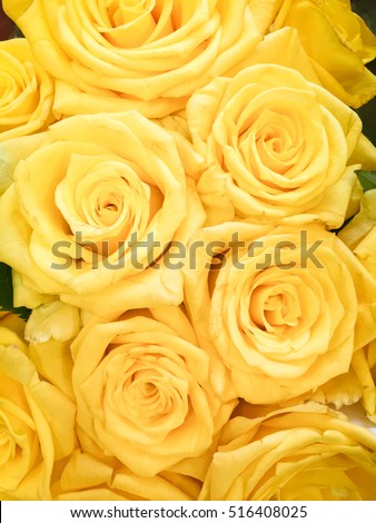 Bouquet of fresh yellow roses, flower bright background.
