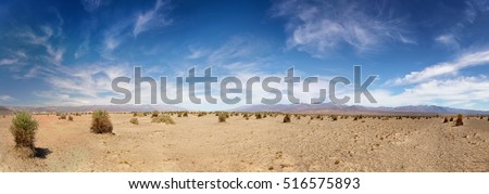 Panorama of the Devil's Cornfield, showing the parched earth and generic vegetation, in Death Valley National Park, California, USA Royalty-Free Stock Photo #516575893