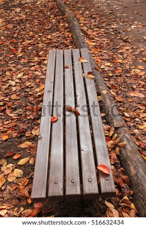 The fallen maple leaves on the floor and a lonely bench in Korea Seoul / Fallen maple leaves and a lonely bench