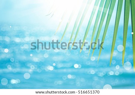 Green nature palm leaf on blur tropical beach with bokeh sun light abstract background. Copy space of outdoor summer vacation and business travel concept. Vintage tone filter color style.