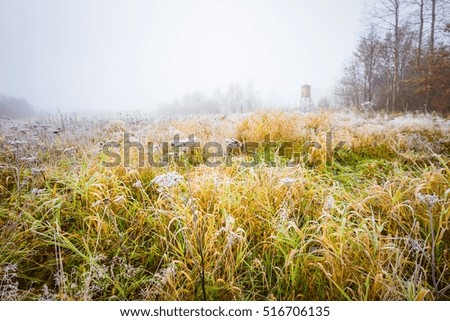 Frosty morning landscape with raised hide. Early winter landscape with meadow and hoarfrost