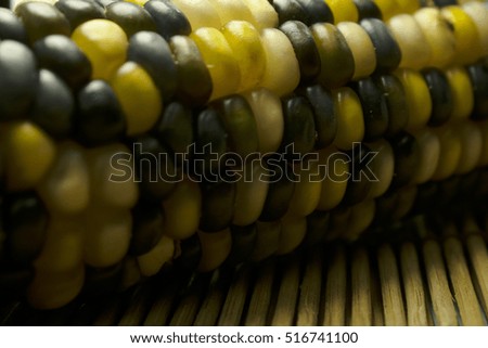 Ornamental Corn 