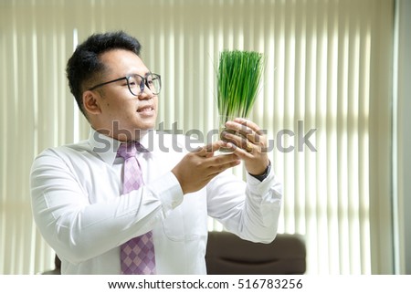 Business man with mini trees in office
