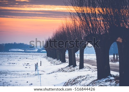 This picture is taken in the destination of Kampen in the province of Overyssel in the country of Netherlands. It was a cold winter morning as the sun the last day of the winter colored.
