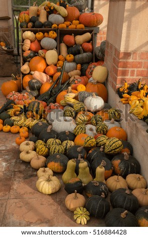 Halloween Display of Home Grown Organic Winter Squash, Pumpkins and Gourds (Cucurbita) in a Green in Rural Somerset, England, UK