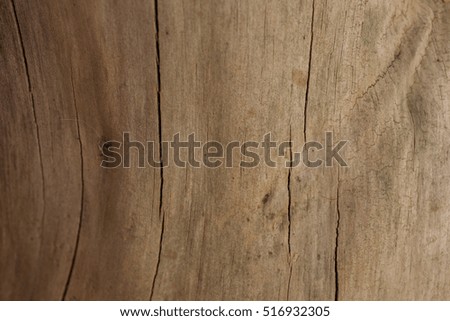 Tree bark background and texture. Wood texture of cut tree trunk. 
Texture old wood background. Brown wood background
