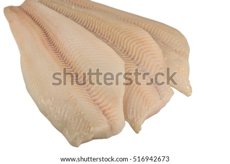 Fresh Halibut fish fillet, white background.
