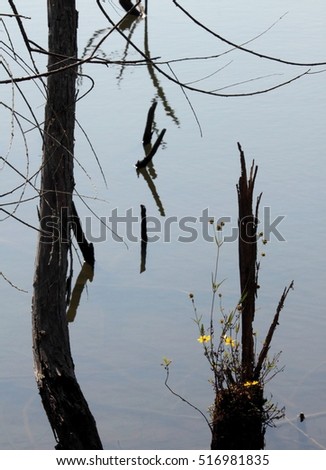 Outdoor Natural Landscape Lake Scene