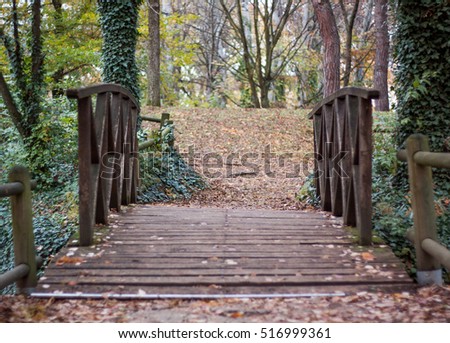 Wood bridge in autumn landscape - Italy