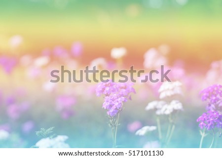 Beautiful pastel floral blurred background