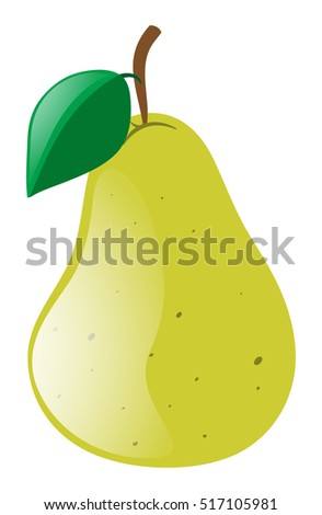 Fresh pear with green leaf illustration