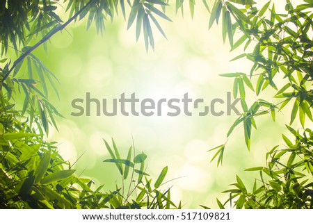 Leaf pattern leaves bamboo or abstract background .Green Energy and world for water day or National Forest Conservation Day.