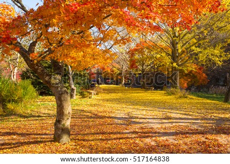 Beautiful fall scene.