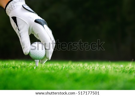 Hand putting golf ball on tee in golf course Royalty-Free Stock Photo #517177501