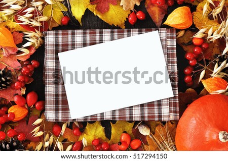 Autumn leaves on wooden background, fall leaf frame with rose hips, red berries and pumpkin, selective focus, empty card copy space 
