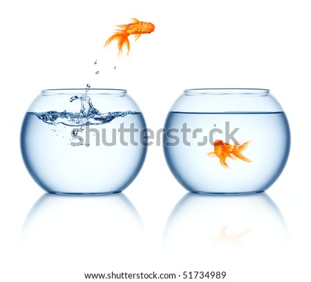 A goldfish jumping out of the fishbowl