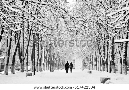 Black and white winter city park landscape with snow and two going the road. Winter city park in morning. Winter trees on snow. KIEV, UKRAINE. New year walks.