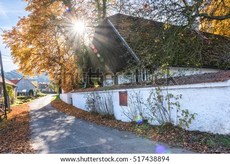 A country alley near old white house on autumn day with sunflair