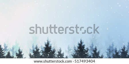                                Winter background silhouettes of christmas trees with snow and stars