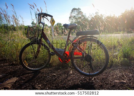 Old bicycle silhouette with sunset views, golden evening light with the vintage style.