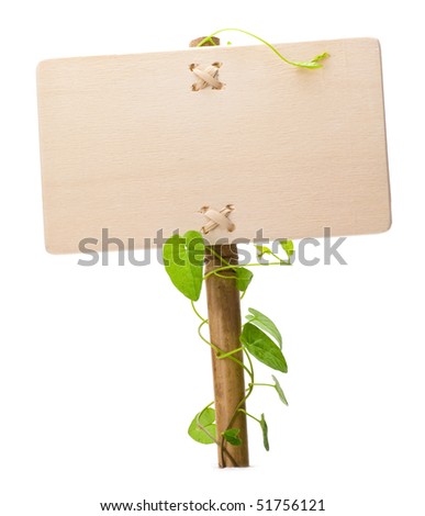 empty sign for message on a wooden panel and green plant - image is isolated on a white background