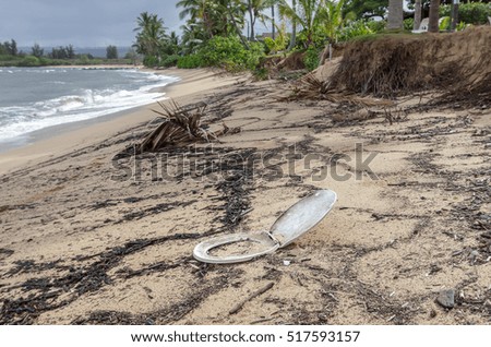 A toilet seat that has washed up on the beach after a storm on the north shore of Oahu Hawaii