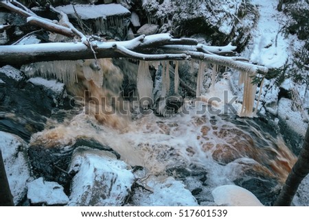 forest waterfall in winter