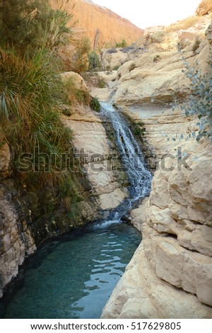 Middle East arabian scenic view. Pure brook flows in beautiful gorge Ein Gedi, in arid Judean desert on shore of Dead Sea near Masada and Qumran Caves. Place where biblical David hid from King Saul