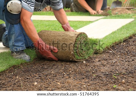 Man laying sod for new garden lawn Royalty-Free Stock Photo #51764395