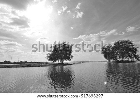 Black and white image view of the lake