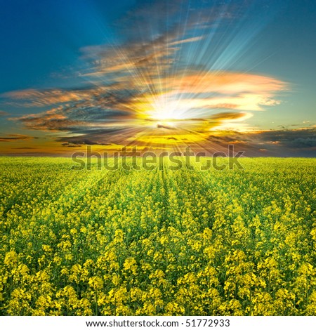 Beautiful sunset over a field in France
